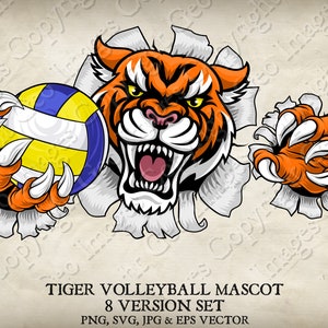 Tiger Holding Volleyball Volley Ball Sports Mascot Tigers Logo Cartoon. 8 Versions. Ripped Through Background. Vector SVG, EPS, PNG, Jpg