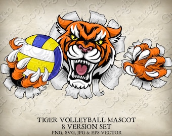 May include: A fierce orange and black tiger mascot bursting through a torn background, holding a blue and yellow volleyball with its claws. The text "TIGER VOLLEYBALL MASCOT 8 VERSION SET PNG, SVG, JPG & EPS VECTOR" is below the image.