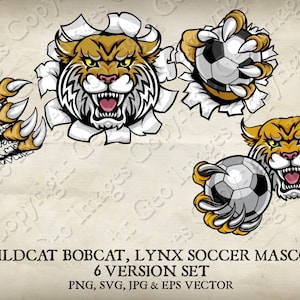 Wildcat Bobcat Cougar Lynx Lion Holding Soccer Football Ball Mascot Wildcats Bobcats Logo Cartoon. 6 Versions. Vector SVG, EPS, PNG, Jpeg