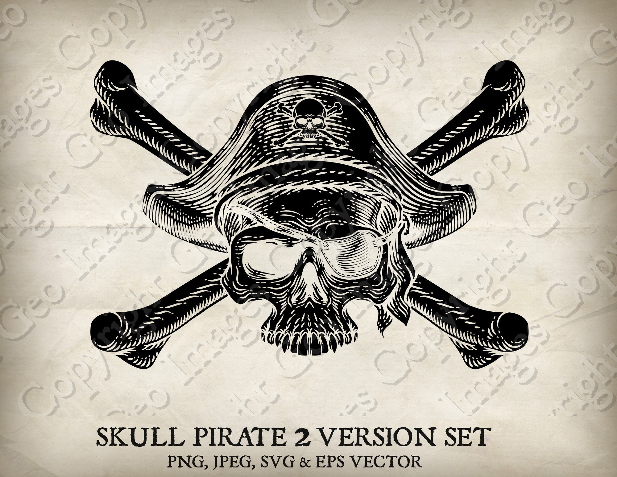 Pirate Skull and Crossbones Jolly Roger Vector Skeleton. Two Versions ...