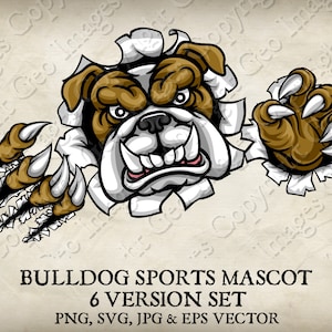 Bulldogge Hund Krallen Sport Maskottchen Bulldoggen Gesicht Cartoon Logo 6 Versionen. Gerippter Hintergrund. Vektor SVG, EPS, PNG und Jpg
