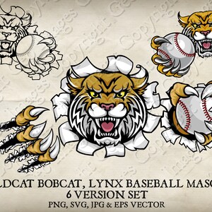 Wildcat Bobcat Cougar Lynx Lion Holding Baseball Ball Mascot Wildcats Bobcats Cougars Logo Cartoon. 6 Versions. Vector SVG, EPS, PNG, Jpeg