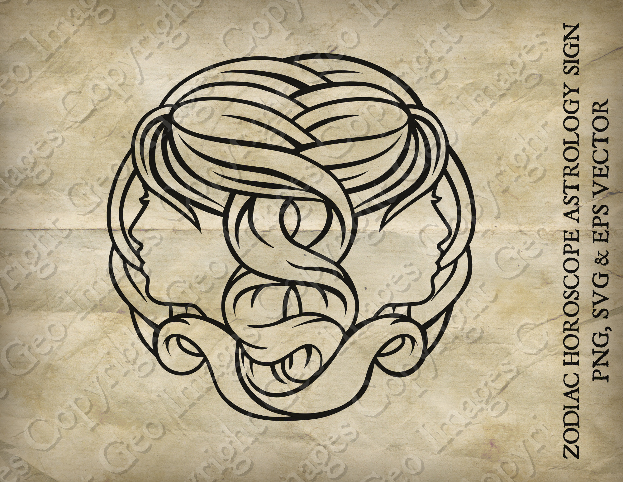 GEMINI ASTROLOGY TWINS visual data 5