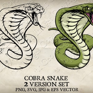 Cobra Snake King Viper Sports Cobras Mascot Cartoon logo 2 Versions. Vector SVG, EPS, PNG, and Jpg