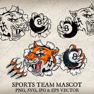 Tiger Pool Mascot Ball in Claw Angry Billiards Tigers Mascot Face Cartoon Logo 6 set. Ripped Through Background. Vector SVG, EPS, PNG, Jpeg
