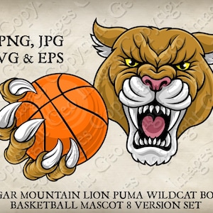 Cougar Wildcat Bobcat Puma Mountain Lion Holding Basketball Ball Team Mascot Logo Cartoon. 8 Versions. Vector SVG, EPS, PNG & Jpeg