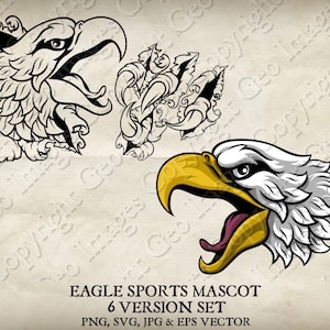 Weißkopfseeadler, Falke oder Falke Sport Maskottchen Illustration. Adler, Falken, Falken Cartoon Logo PNG, Jpg, Vektor EPS, SVG-Dateien