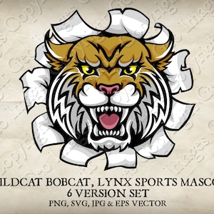 Wildcat Bobcat Cougar Lynx Lion Sports Mascot Wildcats Bobcats Cougars Logo Cartoon 6 versões rasgando fundo. Vetor SVG, EPS, PNG, Jpg