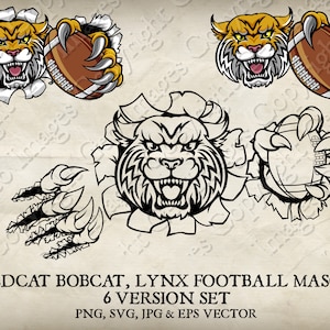 Wildcat Bobcat Cougar Lynx Lion Holding American Football Ball Mascot Wildcats Bobcats Logo Cartoon. 6 Versions. Vector SVG, EPS, PNG, Jpeg