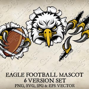 Football American Bald Eagle, Hawk or Falcon Sports Mascot Illustration. Eagles, Hawks, Falcons Cartoon Team Logo PNG, jpg, Vector EPS, SVG