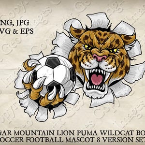 Jaguar Leopard Cheetah Panther Wildcat Bobcat Cat Soccer Football Ball Team Mascot Logo Cartoon. 8 Versions. Vector SVG, EPS, PNG & Jpeg