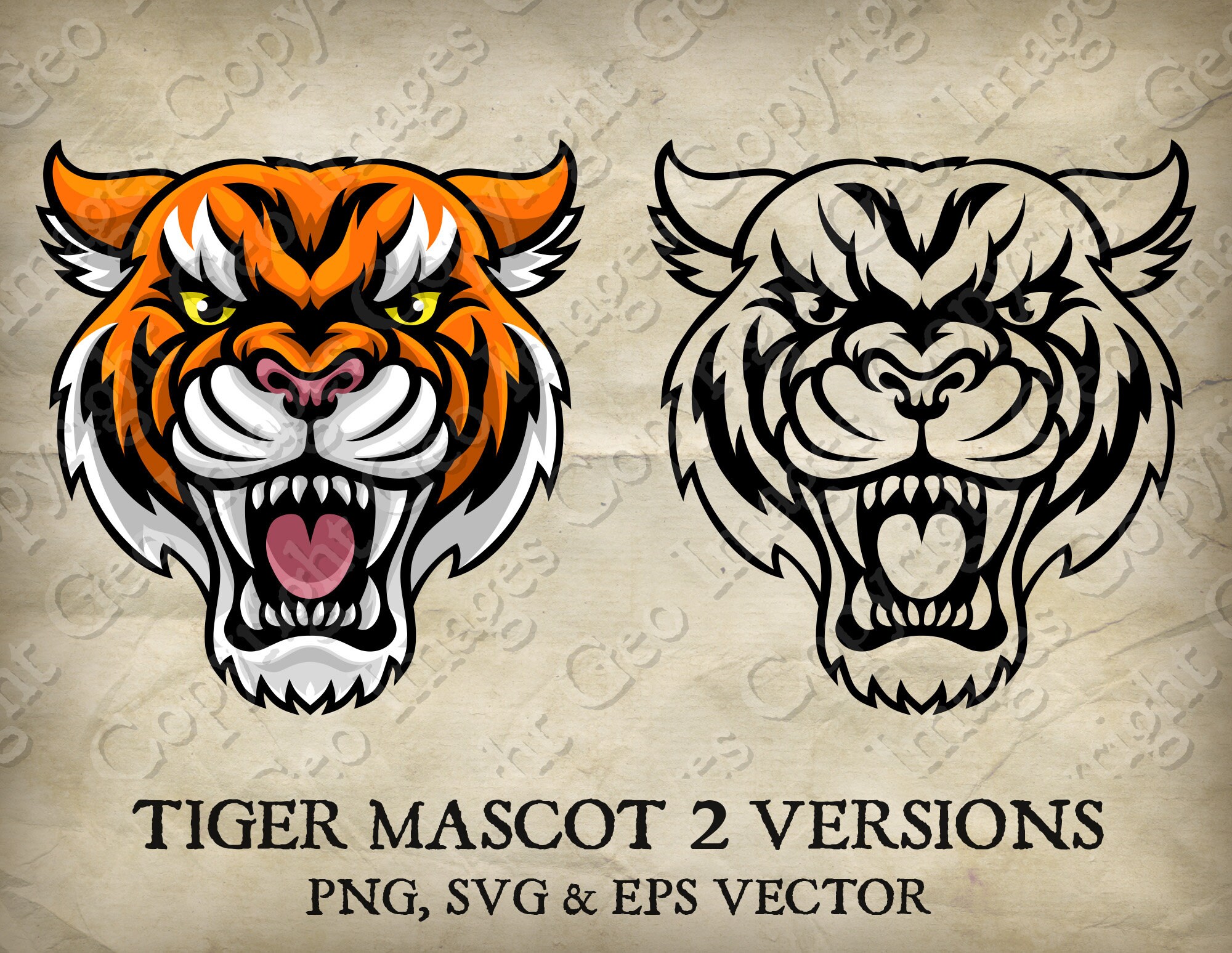 Tiger Cat Mascot Head Angry Tigers Mascot Face Cartoon in Two Versions  Artwork. Vector SVG, EPS, Transparent Background PNG and Jpeg Clipart 