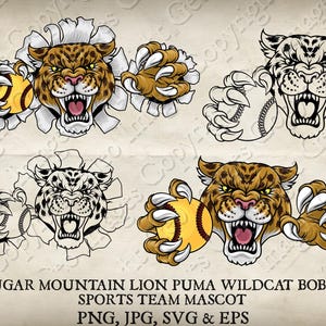 Jaguar Leopardo Chita Pantera Gato Selvagem Bobcat Gato Segurando Bola de Softball Logotipo Mascote do Time Desenho Animado. 8 Versões. Vetor SVG, EPS, PNG e Jpeg