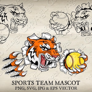 Tiger Softball Maskottchen Ball in den Klauen Wütend Tigers Sport Team Logo Gesicht Cartoon Logo 6 Set Gerippt Durch Hintergrund Vektor SVG EPS PNG Jpeg