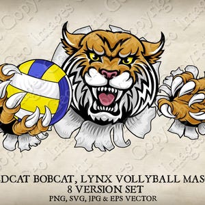 Wildcat Bobcat Cougar Lynx Lion Segurando Bola de Vôlei Mascote Wildcats Bobcats Cougars Logotipo Desenho Animado. 8 Versões. Vetor SVG, EPS, PNG, Jpeg