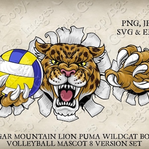 Jaguar Leopard Cheetah Panther Wildcat Bobcat Cat Volleyball Ball Team Mascot Logo Cartoon. 8 Versions. Vector SVG, EPS, PNG & Jpeg