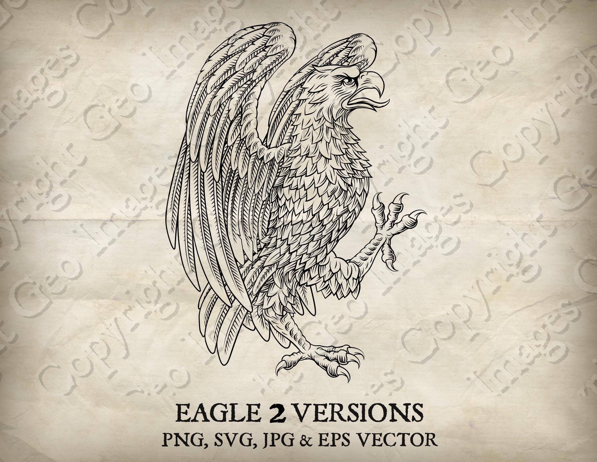 Eagle, Hawk, Falcon, Bald Eagle Vintage Style Heraldic Family