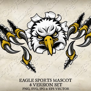 American Bald Eagle, Hawk or Falcon Sports Mascot Illustration. Eagles, Hawks, Falcons Cartoon Logo PNG, jpg, Vector EPS, SVG files