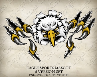 American Bald Eagle, Hawk or Falcon Sports Mascot Illustration. Eagles, Hawks, Falcons Cartoon Logo PNG, jpg, Vector EPS, SVG files