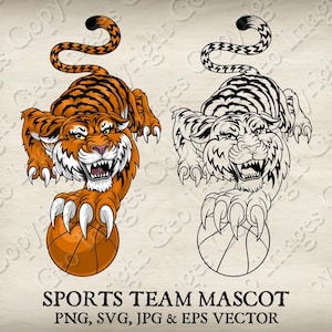 Tiger Basketball Mascot Prowling With Basketball Ball in Claws Mascot Angry Tigers Cartoon. Vector SVG, EPS, PNG, Jpeg