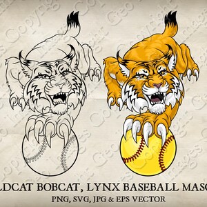 Wildcat Mascot Bobcat Cougar Lynx Mascot Lion Holding Softball Mascot Ball Wildcats Bobcats Cougars Logo Cartoon. Vector SVG, EPS, PNG, Jpeg