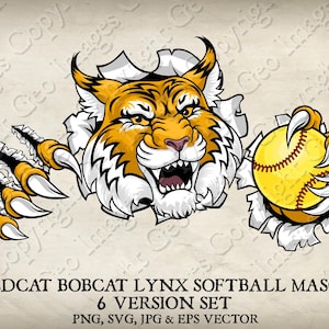 Wildcat Bobcat Cougar Lynx Lion Segurando Bola de Softball Mascote Wildcats Bobcats Cougars Logotipo Desenho Animado. 6 Versões. Vetor SVG, EPS, PNG, Jpeg