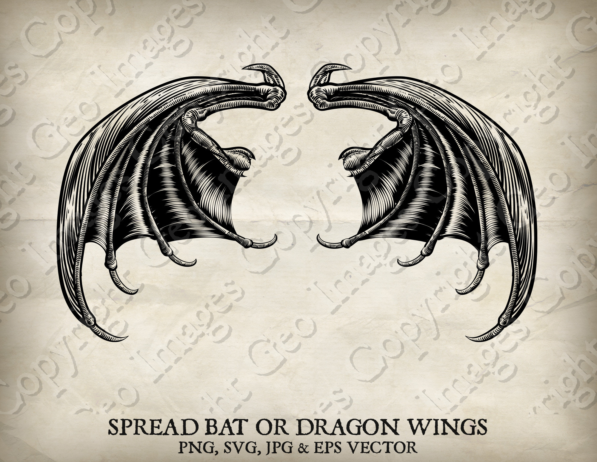 Wing Pair of Bat, Dragon, Devil or Demon Wings Illustration Vintage ...