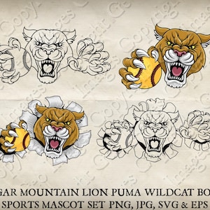 Cougar Wildcat Bobcat Puma Mountain Lion Holding Softball Ball Wildcats Bobcats Cougars Team Mascot Logo Cartoon 8 Vector SVG EPS PNG Jpg