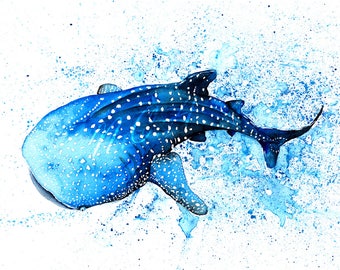 Whale Shark - Print of original watercolour painting by Nicholas Clack, Sealife, Ocean, Aquatic, Water, Splash, Blue, Giclée Print