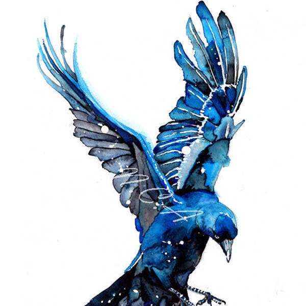 Thought - Huginn.  Part of Thought and Memory Duo Ravens. Print of Original watercolour by Nicholas Clack