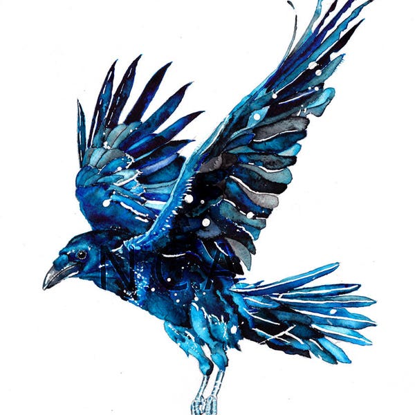 Memory - Muninn.  Part of Thought and Memory Duo Ravens.  Print of original watercolour by Nicholas Clack