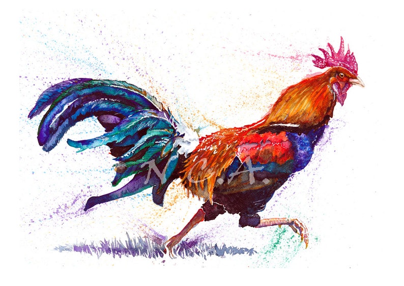 Rocket Rooster image 1