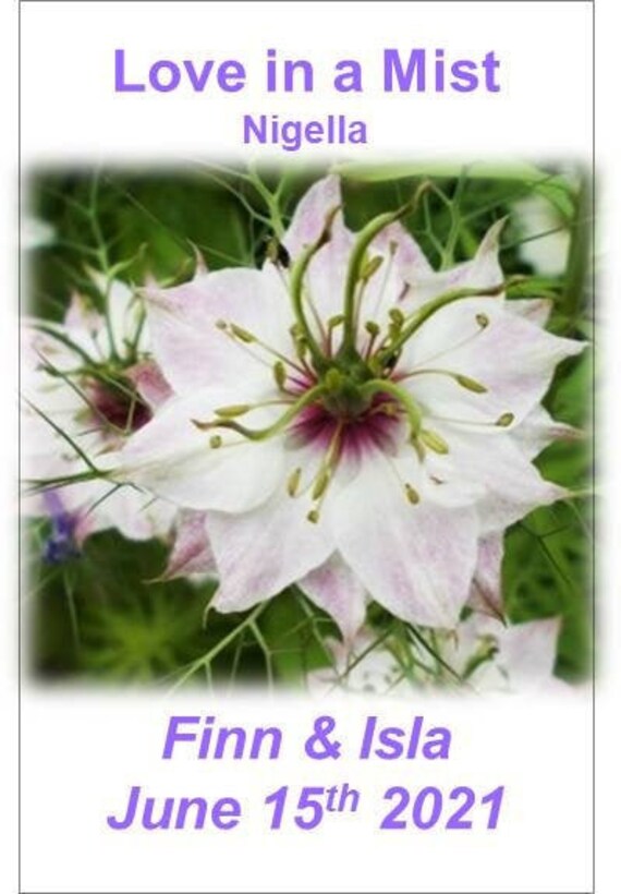 Wedding Favour Seeds Love In A Mist Flower Seeds Etsy Wedding Favour Seeds Love In A Mist Flower Seeds Etsy