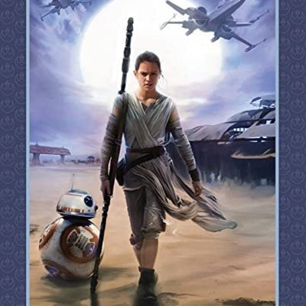 Star Wars The Force Awakens Rey and BB8 Panel Fabric