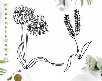 Fleurs sauvages SVG coupe fichiers Floral Bundle fleur vecteur mignon fleur Silhouette, Cricut fichiers AMM6291