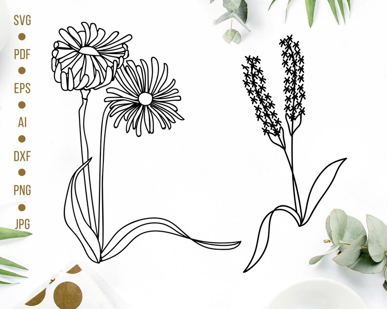 Wild Flowers SVG Cutting Files Floral Bundle Flower Vector Cute Flower Silhouette, Cricut Files AMM6291 image 1