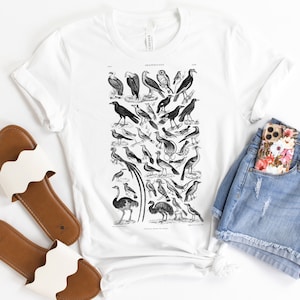 Vintage Bird Biology avian birds watching shirt, women's tshirt owls, hawks, eagles