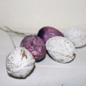 Shabby Easter Eggs Inserter
