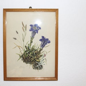 Vintage picture in wooden frame