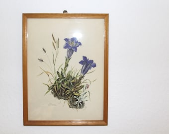 Quadro vintage in cornice di legno