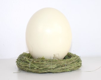 Ostrich egg | natural | decoration
