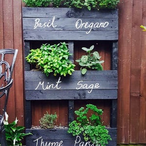 Pallet Herb Garden image 1