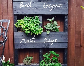 Jardín de hierbas con palets