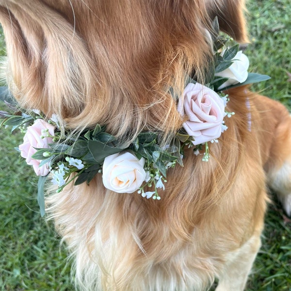 Wedding Dog Collar, Floral ring, neutral colored dog collar, Wedding Pet Wear