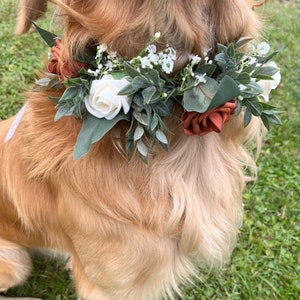 Etsy dog wedding collar outlet
