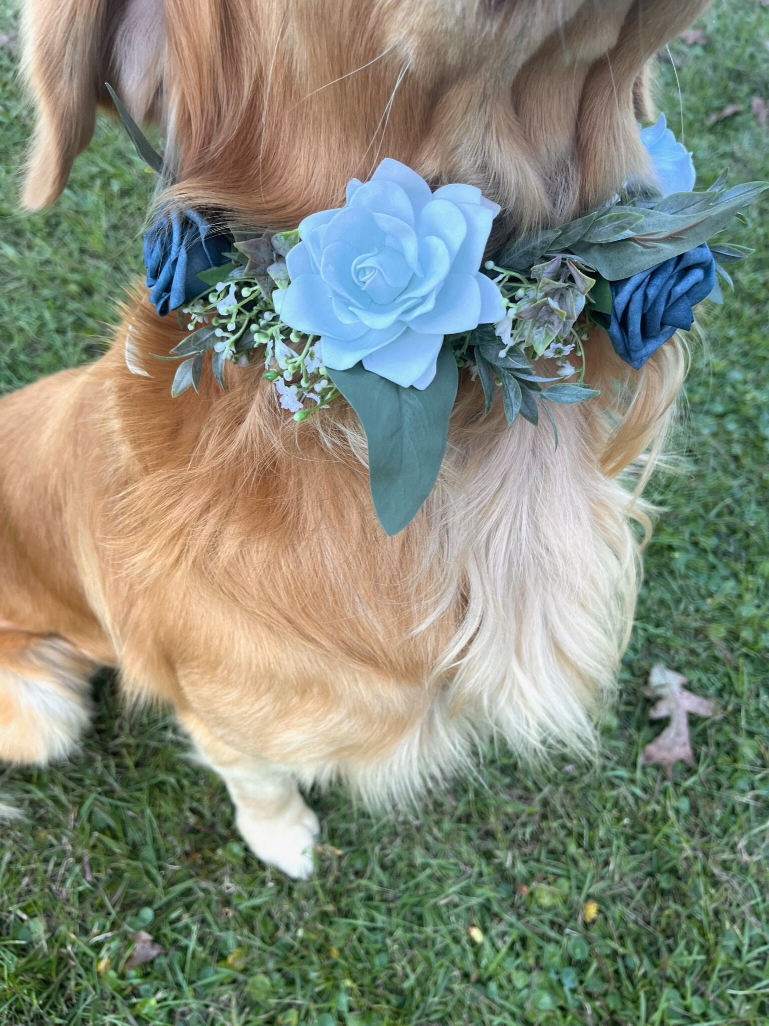 Wedding Dog Collar, Floral ring, Dusty Blue and Slate Blue  floral dog collar, Wedding Pet Wear
