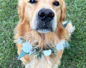 Wedding Dog Collar, Floral ring, White floral dog collar, Wedding Pet Wear