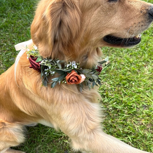 Collier de chien de mariage, collier de chien anneau floral, collier de chien en terre cuite et rouille