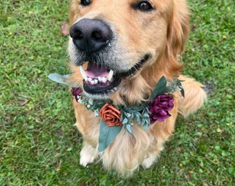 Wedding Dog Collar, Floral ring dog collar, terracotta and burgundy dog collar