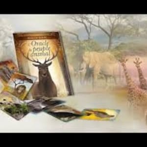 Consultation voyance "l'oracle du peuple animal "